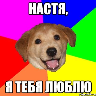 Настя, Я тебя люблю, Мем Advice Dog