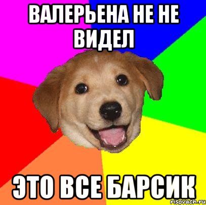 Валерьена не не видел Это все барсик, Мем Advice Dog