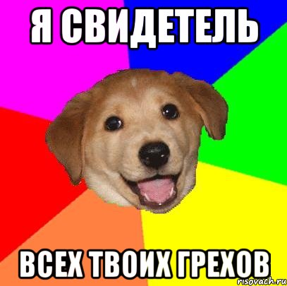 я свидетель всех твоих грехов, Мем Advice Dog