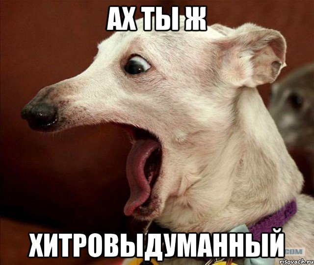 Ах ты ж Хитровыдуманный, Мем Ах ты ж хитрая жопа