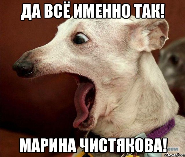 Да всё именно так! Марина Чистякова!, Мем Ах ты ж хитрая жопа