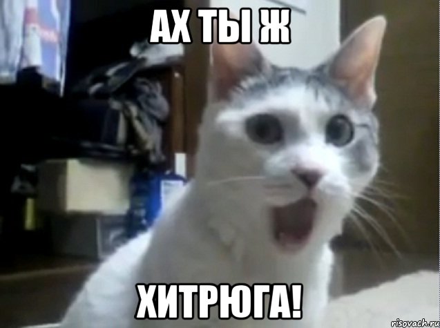 Ах ты ж Хитрюга!, Мем Ах ты ж хитрая жопа