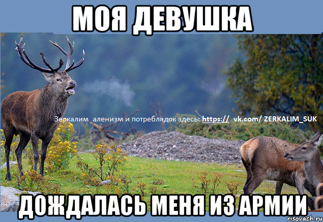 моя девушка дождалась меня из армии