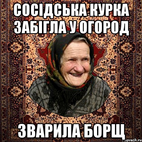 сосідська курка забігла у огород зварила борщ