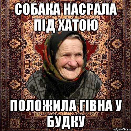 собака насрала під хатою положила гівна у будку, Мем баба нюра