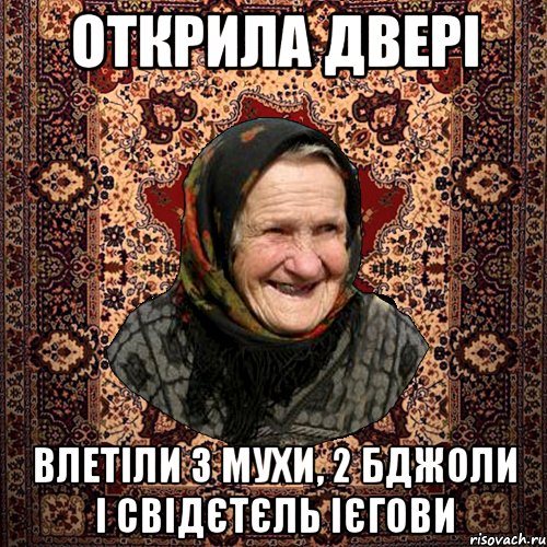 Открила двері влетіли 3 мухи, 2 бджоли і свідєтєль ієгови, Мем баба нюра