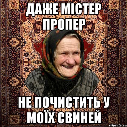 Даже містер Пропер не почистить у моїх свиней, Мем баба нюра