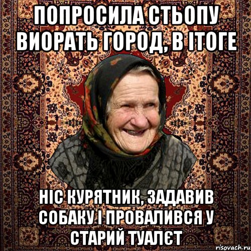 Попросила Стьопу виорать город, в ітоге ніс курятник, задавив собаку і провалився у старий туалєт, Мем баба нюра