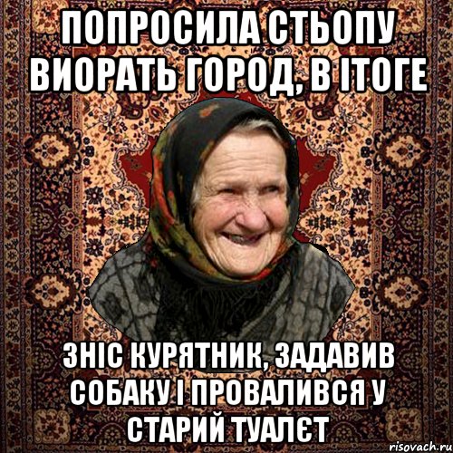 Попросила Стьопу виорать город, в ітоге зніс курятник, задавив собаку і провалився у старий туалєт, Мем баба нюра