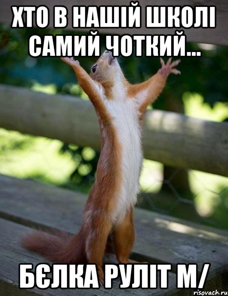 Хто в нашій школі самий чоткий... Бєлка руліт m/, Мем    белка молится