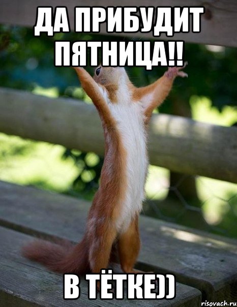 Да прибудит пятница!! В Тётке)), Мем    белка молится