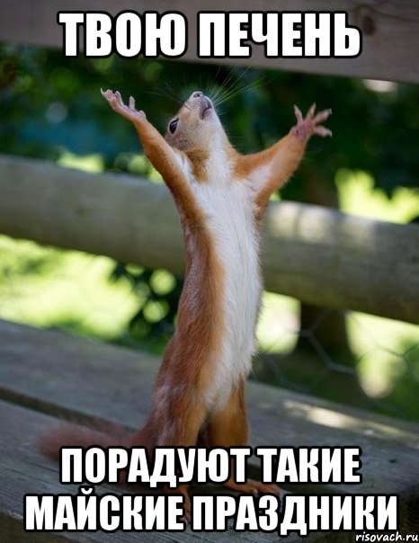 твою печень порадуют такие майские праздники, Мем    белка молится