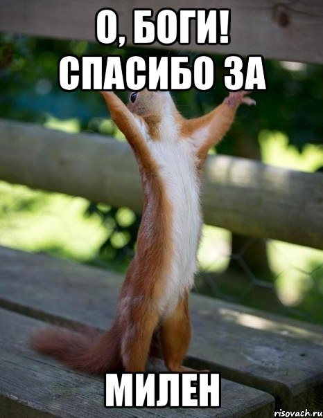 О, БОГИ! СПАСИБО ЗА МИЛЕН, Мем    белка молится
