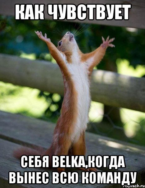 Как чувствует себя Belka,когда вынес всю команду, Мем    белка молится