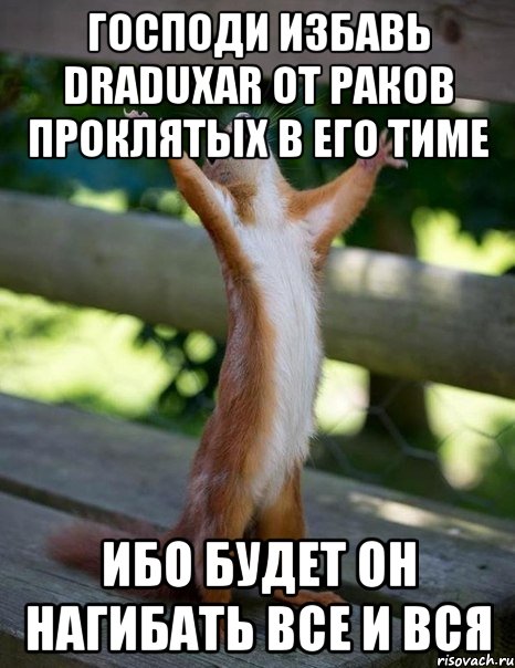 Господи избавь draduxar от раков проклятых в его тиме ибо будет он нагибать все и вся, Мем    белка молится