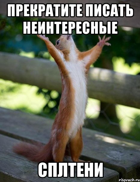 прекратите писать неинтересные СПЛТЕНИ, Мем    белка молится