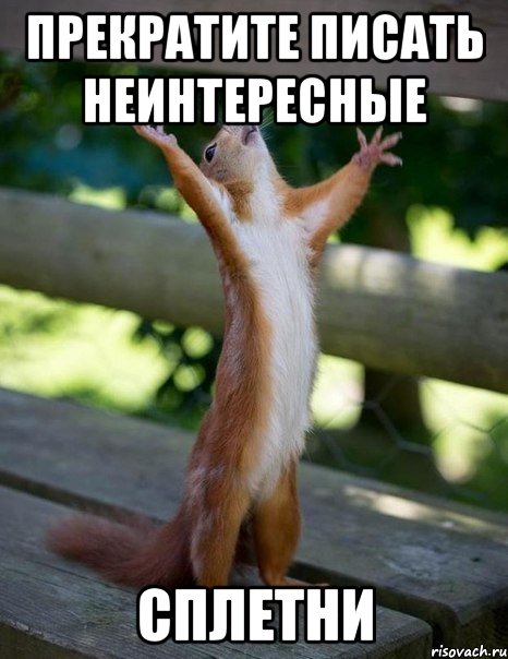 прекратите писать неинтересные СПЛЕТНИ, Мем    белка молится