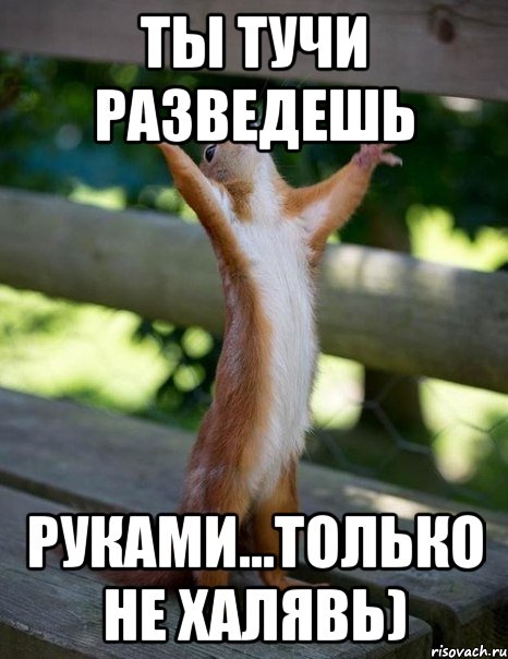 Ты тучи разведешь руками...только не халявь), Мем    белка молится