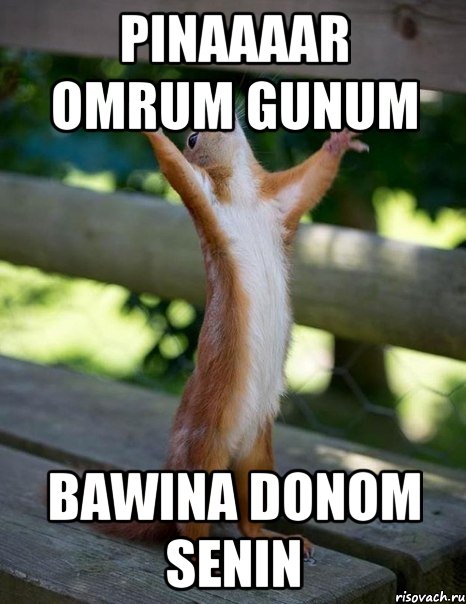 PINAAAAR OMRUM GUNUM BAWINA DONOM SENIN, Мем    белка молится