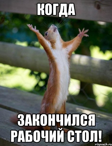 Когда Закончился рабочий стол!, Мем    белка молится