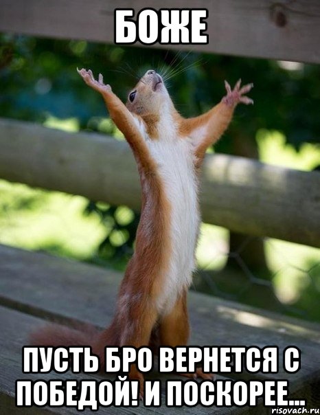Боже пусть бро вернется с победой! и поскорее..., Мем    белка молится