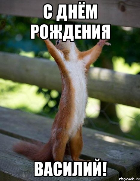 С днём рождения Василий!, Мем    белка молится