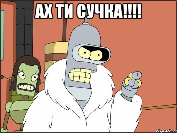 Ах ти сучка!!!! , Мем Бендер