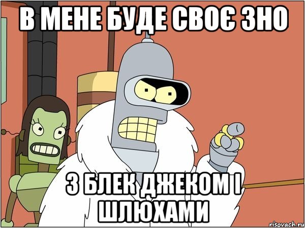 в мене буде своє зно з блек джеком і шлюхами, Мем Бендер