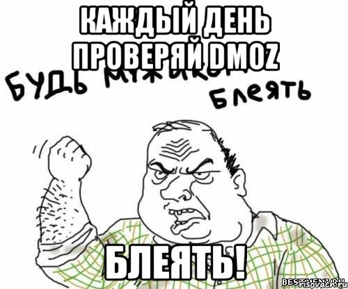 Каждый день проверяй DMOZ БЛЕЯТЬ!, Мем блять
