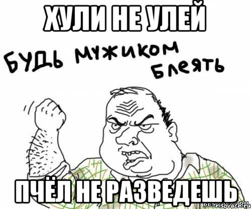 хули не улей пчёл не разведешь, Мем блять