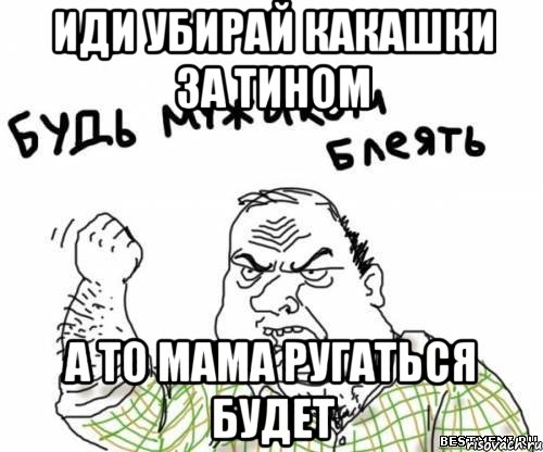 иди убирай какашки за тином а то мама ругаться будет, Мем блять