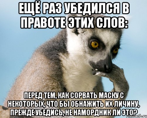 Ещё раз убедился в правоте этих слов: Перед тем, как сорвать маску с некоторых, что бы обнажить их личину, прежде убедись, не намордник ли это?