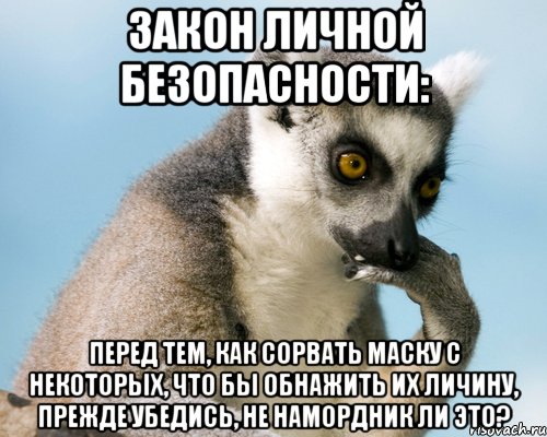 Закон личной безопасности: Перед тем, как сорвать маску с некоторых, что бы обнажить их личину, прежде убедись, не намордник ли это?