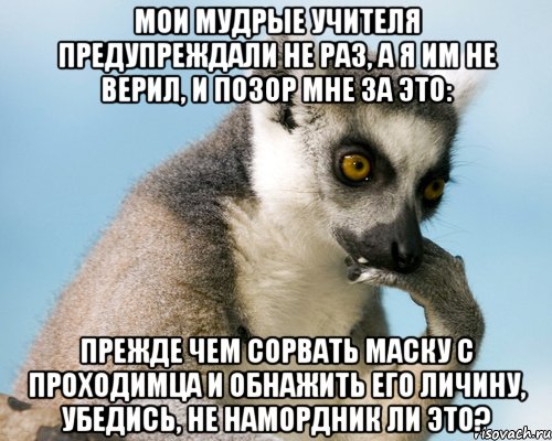 мои мудрые учителя предупреждали не раз, а я им не верил, и позор мне за это: прежде чем сорвать маску с проходимца и обнажить его личину, убедись, не намордник ли это?