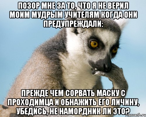 позор мне за то, что я не верил моим мудрым учителям когда они предупреждали: прежде чем сорвать маску с проходимца и обнажить его личину, убедись, не намордник ли это?