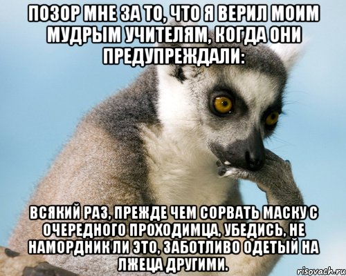позор мне за то, что я верил моим мудрым учителям, когда они предупреждали: всякий раз, прежде чем сорвать маску с очередного проходимца, убедись, не намордник ли это, заботливо одетый на лжеца другими.