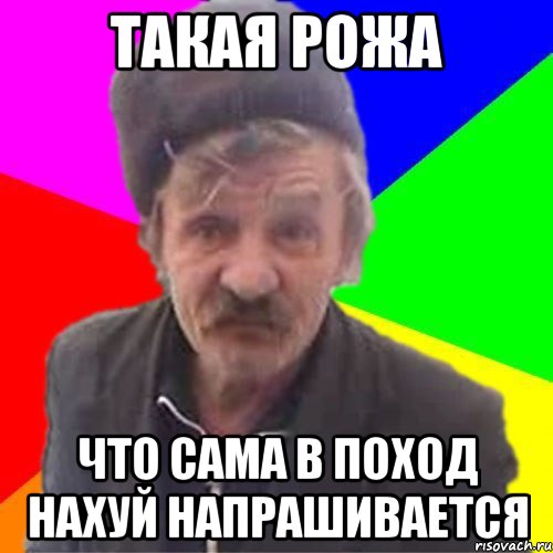 ТАКАЯ РОЖА ЧТО САМА В ПОХОД НАХУЙ НАПРАШИВАЕТСЯ