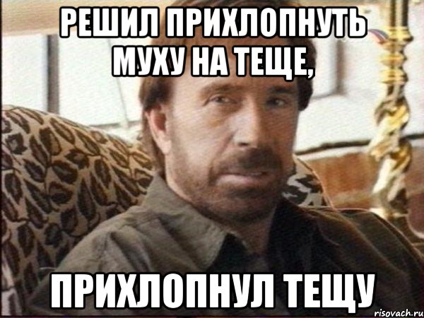 Решил прихлопнуть муху на теще, прихлопнул тещу, Мем чак норрис