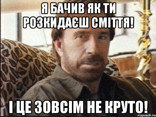 Я бачив як ти розкидаєш сміття! І це зовсім не круто!, Мем чак норрис