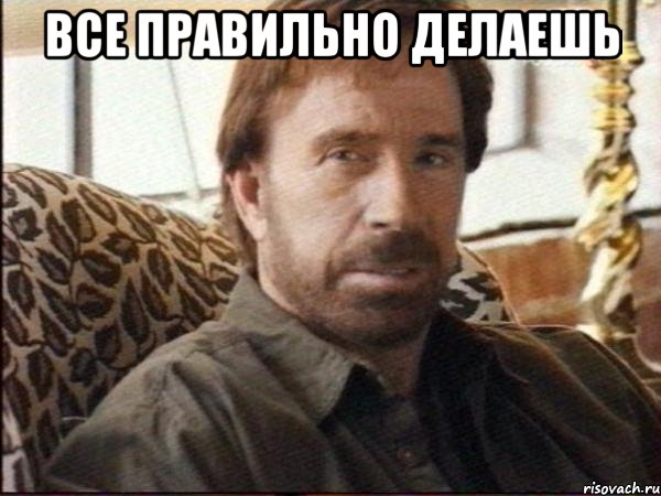 Все правильно делаешь , Мем чак норрис