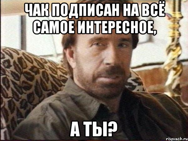 Чак подписан на Всё самое интересное, А ты?, Мем чак норрис