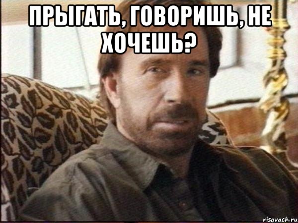 Прыгать, говоришь, не хочешь? , Мем чак норрис