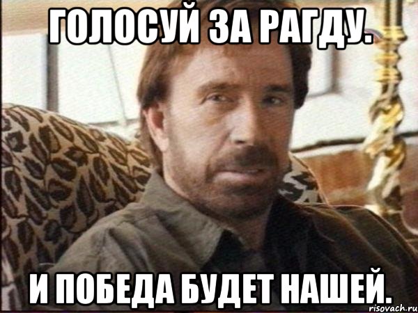 Голосуй за Рагду. И победа будет нашей., Мем чак норрис