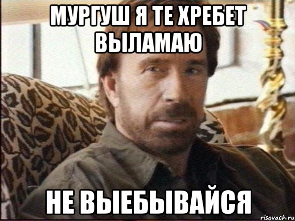 Мургуш я те хребет выламаю не выебывайся, Мем чак норрис