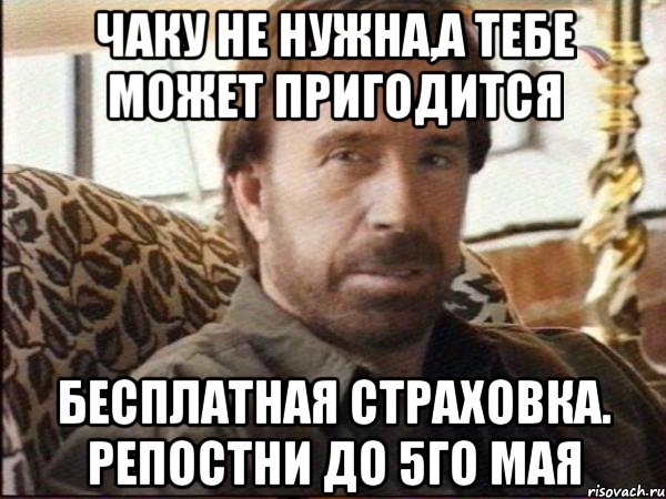 Чаку не нужна,а тебе может пригодится Бесплатная страховка. Репостни до 5го мая, Мем чак норрис