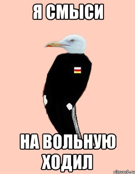 Я СМЫСИ НА ВОЛЬНУЮ ХОДИЛ