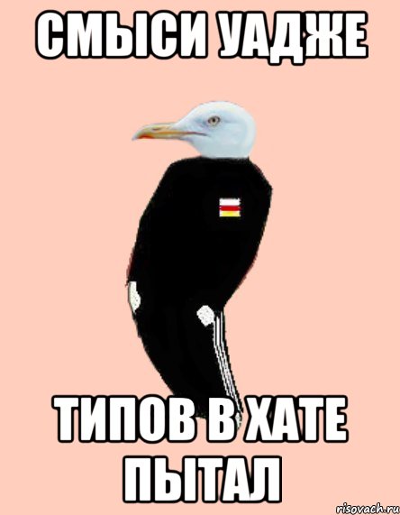 Смыси уадже Типов в хате пытал