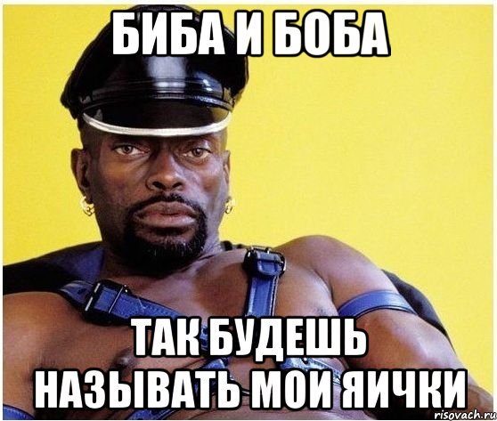 Биба и боба Так будешь называть мои яички, Мем Черный властелин