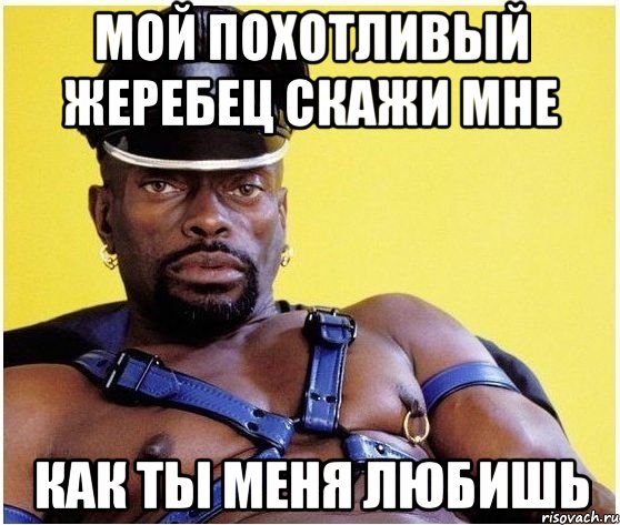 Мой похотливый жеребец скажи мне как ты меня любишь, Мем Черный властелин