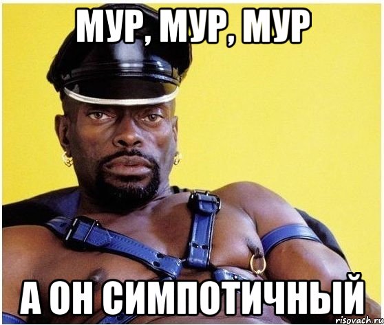 Мур, мур, мур а он симпотичный, Мем Черный властелин